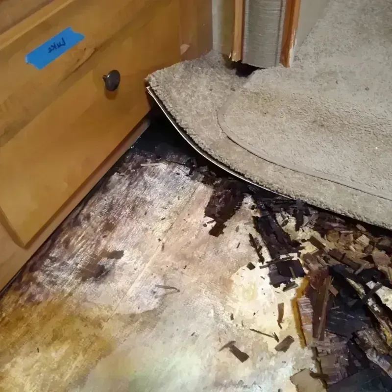 Best Wood Floor Water Damage Service in Los Indios, TX